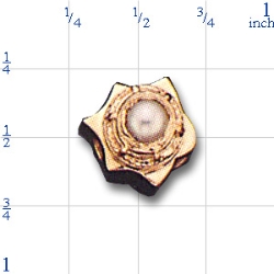 KG8 Pearl Slide 